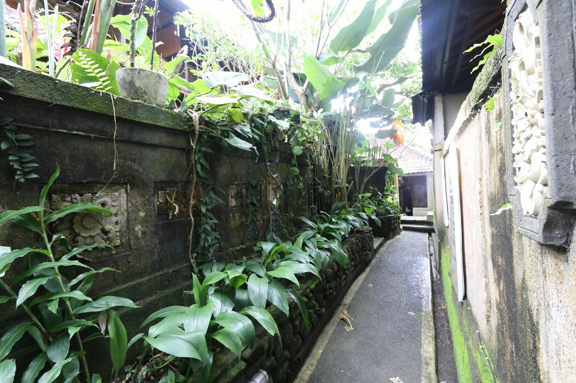 Pondok Permata Homestay Ubud Zewnętrze zdjęcie