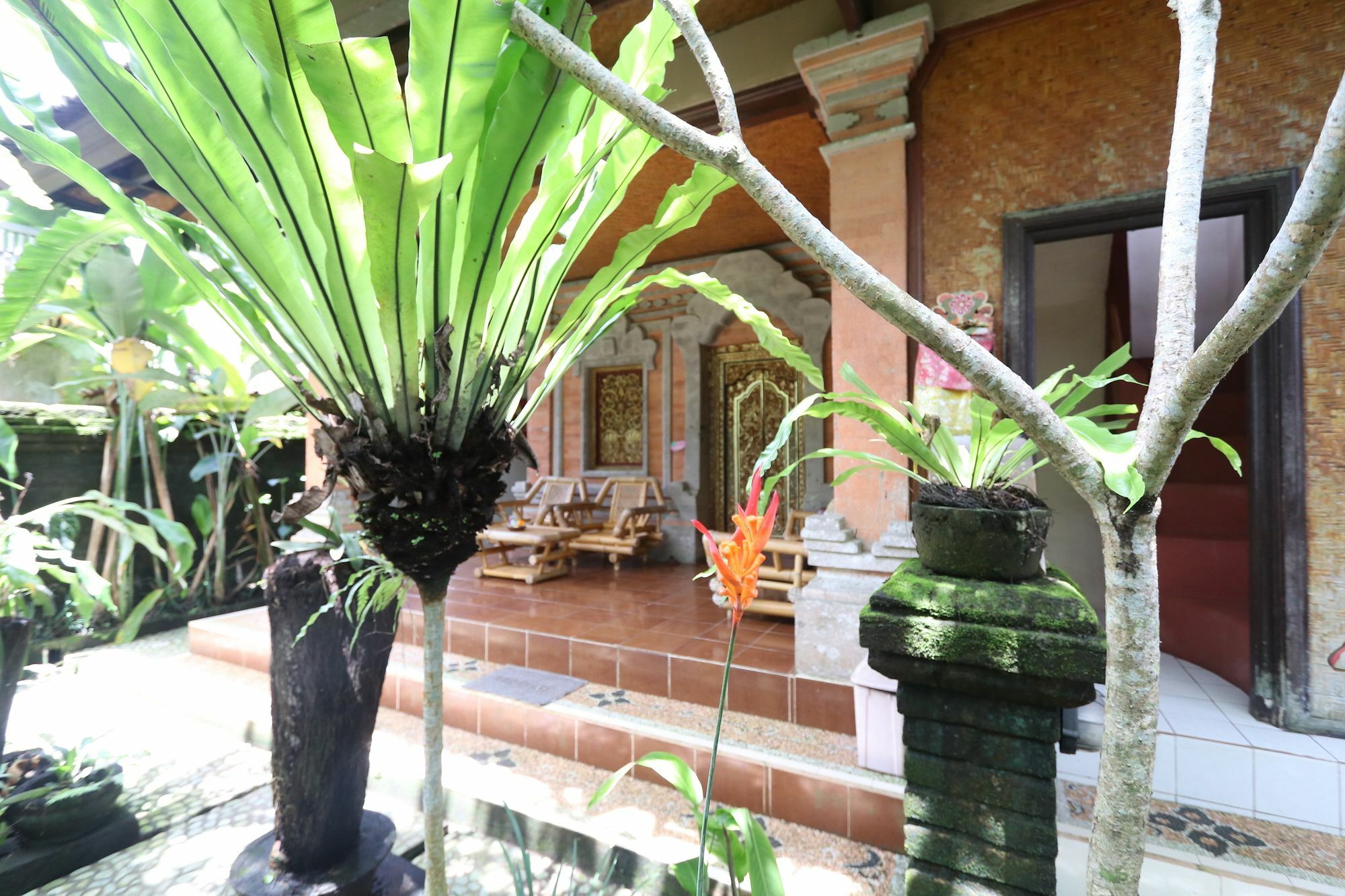 Pondok Permata Homestay Ubud Zewnętrze zdjęcie